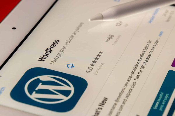 La page blanche de la mort  de Wordpress : comme entreprendre sa résolution ?